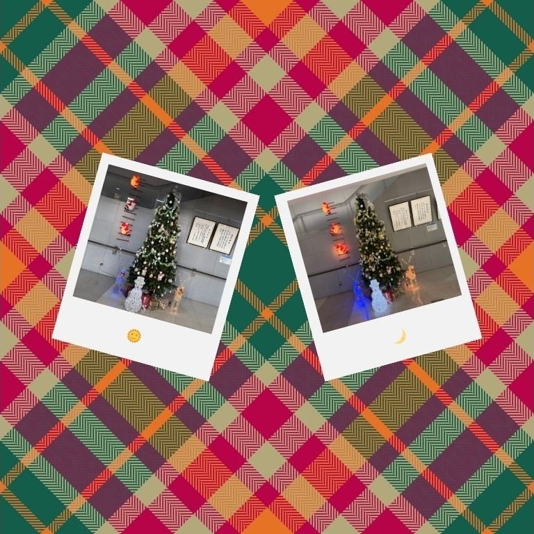 クリスマスツリーを設置しました